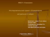Презентация проектной работы Исследование качества меда