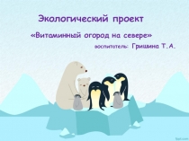 Презентация проекта Огород на окне