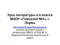 Презентация к уроку по теме Странные люди В. М. Шукшина