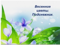 Презентация по биологии на тему Первоцветы