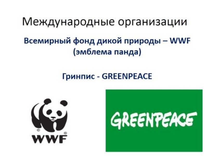 Изображение какого животного и почему является эмблемой всемирного фонда дикой природы wwf