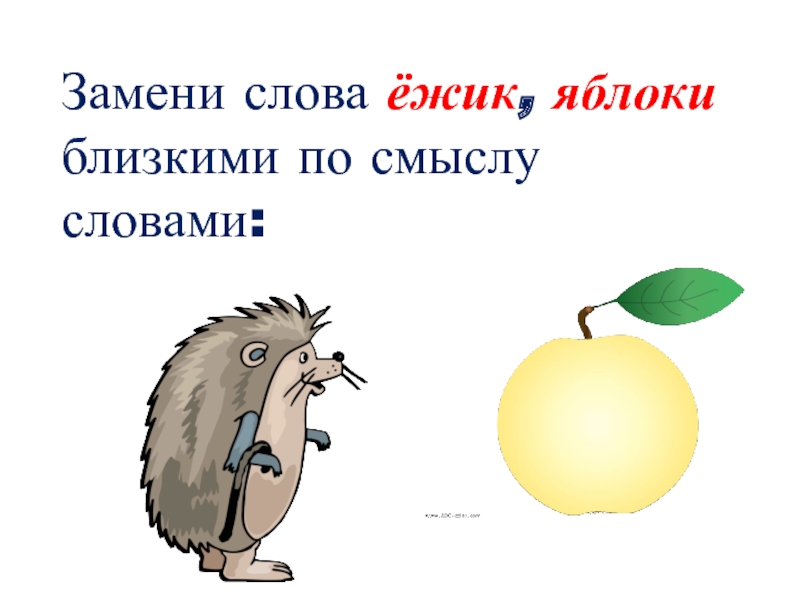 Слово еж