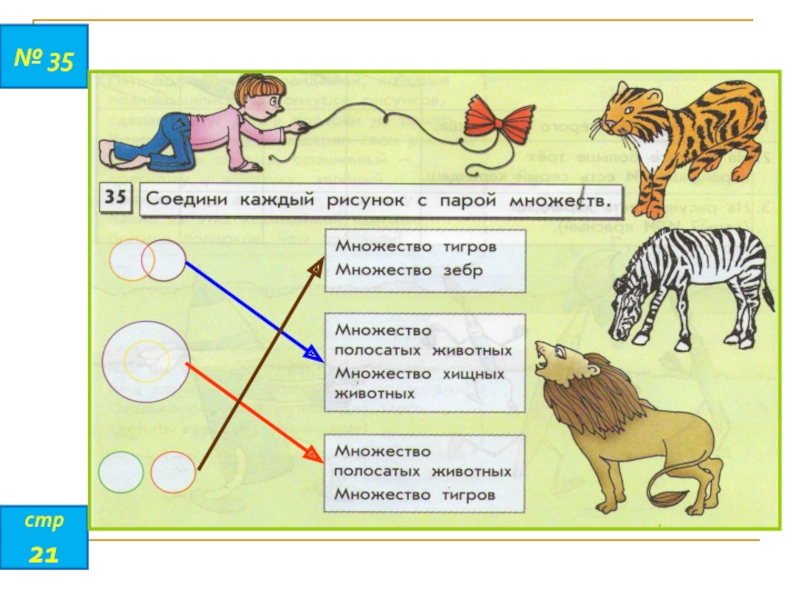 Соедините соответствие. Соединил каждый рисунок с парой множеств. Соедини каждый рисунок с парой множеств. Что такое множество в информатике 3 класс. Соедини каждый рисунок с парой множеств множество тигров.