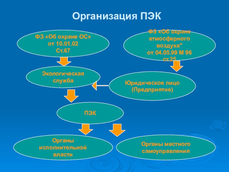 Производственный экологический контроль. ПЭК экология. Организация ПЭК на предприятии. ПЭК производственный экологический контроль. ПЭК организационное оборудование.