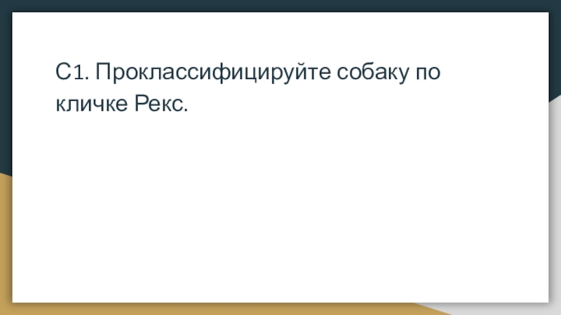 С1. Проклассифицируйте собаку по кличке Рекс.