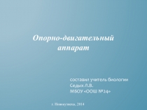 Презентация Строение скелета человека, биология 8 класс