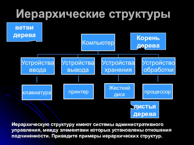 Установите соответствие между объектами линейная схема таблица иерархическая структура