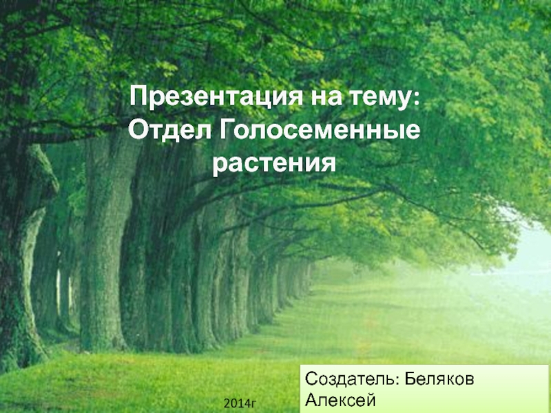 Голосеменные презентация 7 класс биология