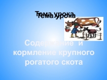 ПрезентацияСодержание и кормление крупного рогатого скота