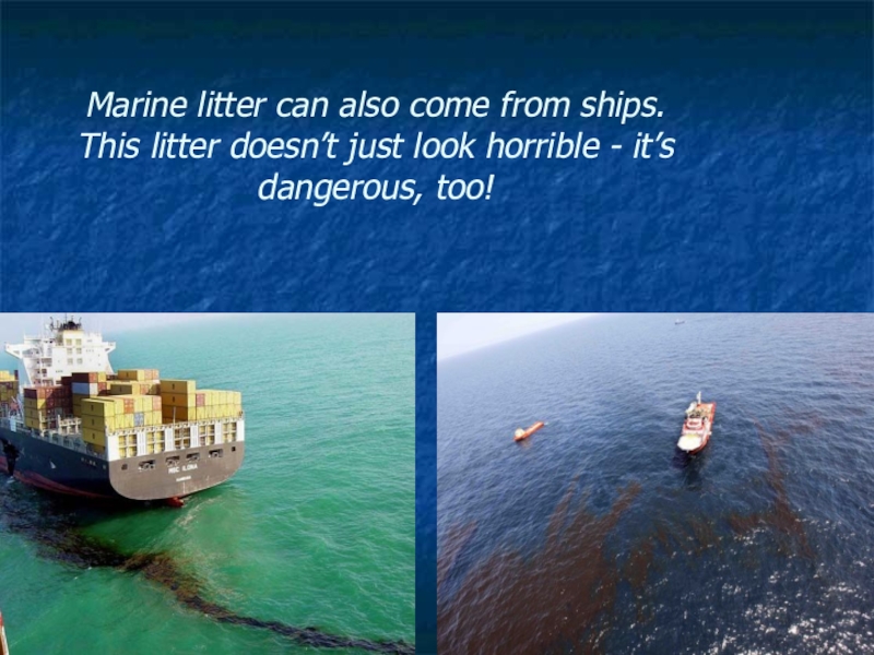 Marine litter презентация