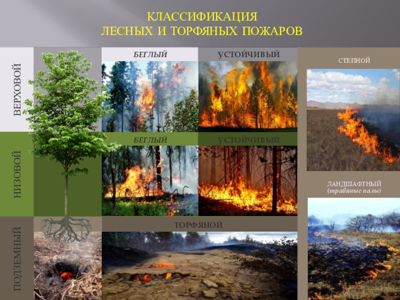 Природный пожар определение. Лесные, степные, торфяные, подземные пожары. Лесные и торфяные пожары. Классификация природных пожаров. Лесные степные и торфяные пожары.