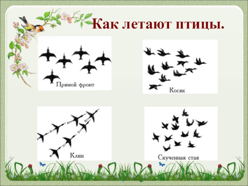 Ритмическое расположение летящих птиц на плоскости листа 2 класс презентация