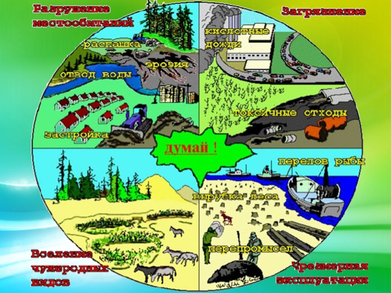 Экологические проблемы 5 класс биология рисунок