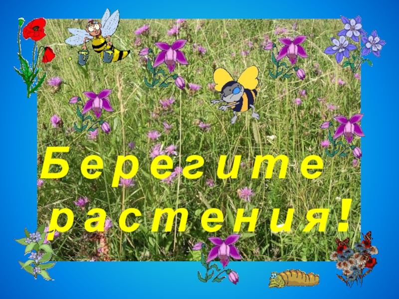 Книжка береги растения. Охрана растений 3 класс окружающий мир. Охрана растений 3 класс окружающий ми. Книжка малышка берегите растения. Берегите растения презентация.