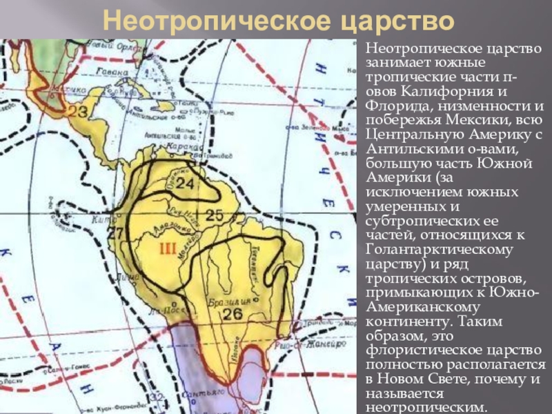 Палеотропическое царство карта