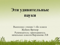 Проект Эти удивительные пауки