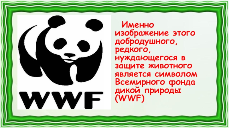 Изображение какого животного и почему является эмблемой всемирного фонда дикой природы wwf