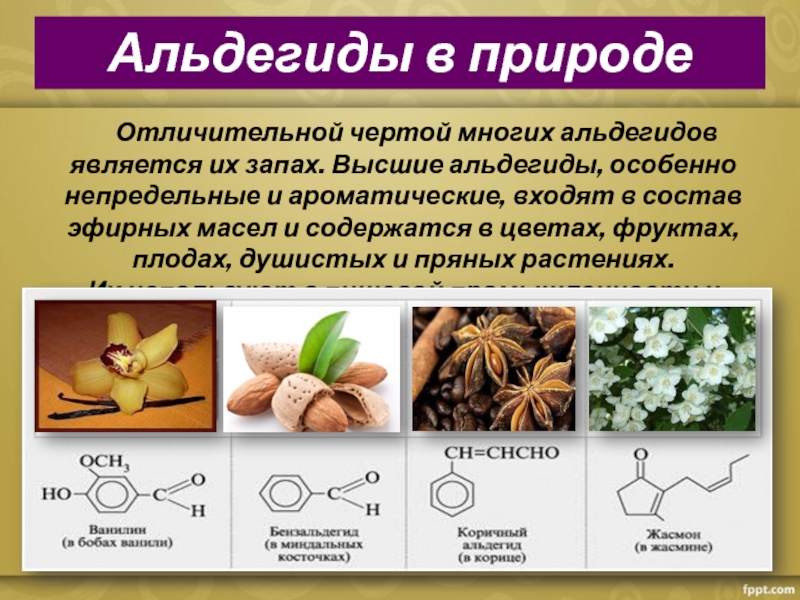 Презентация химия запахов