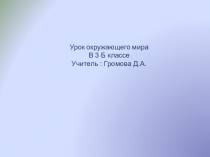 Презентация по окружающему миру Страны Европы (3 класс)