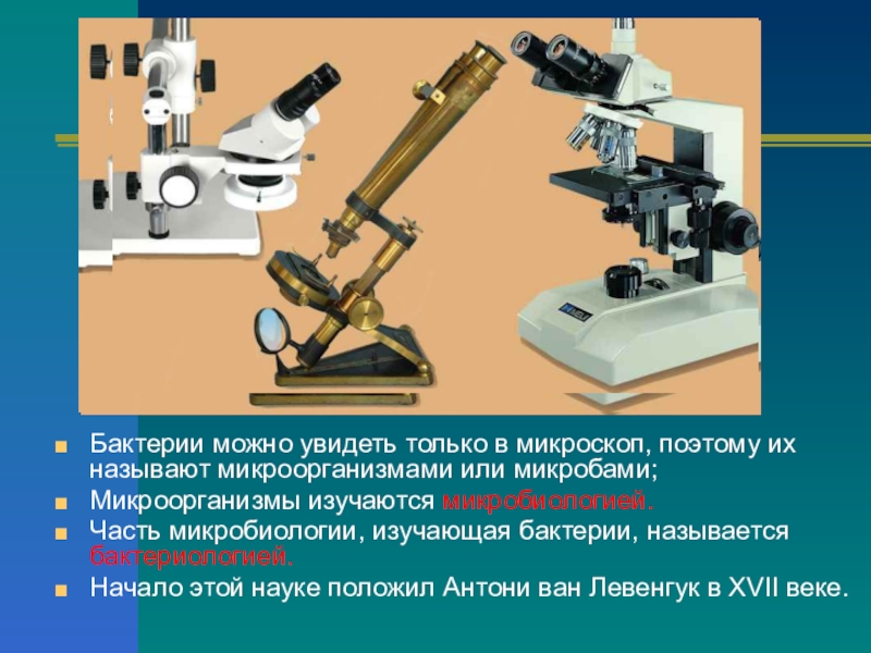 Что такое микроскоп проект 4 класс