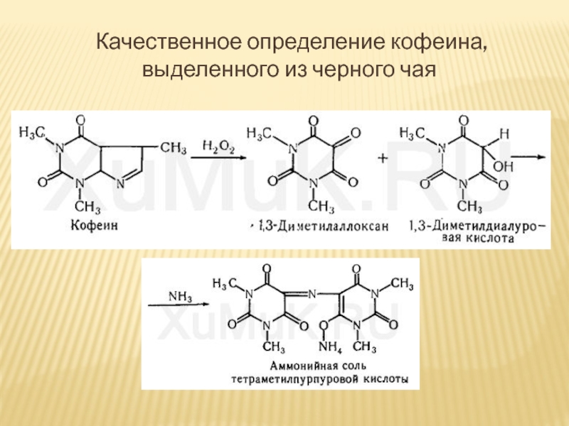 Презентация про кофеин