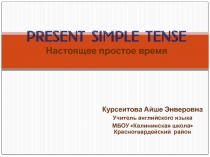 Презентация по английскому языку на тему The Present Simple Tense