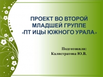 Проект по краеведению: Птицы Южного Урала