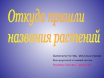 Презентация Откуда пришли названия растений по факультативному курсу Я познаю мир (3-4 класс)