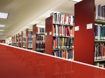 Презентация по обществознанию 7 класс Права и обязанности граждан