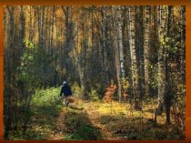 Презентация по биологии Грибы