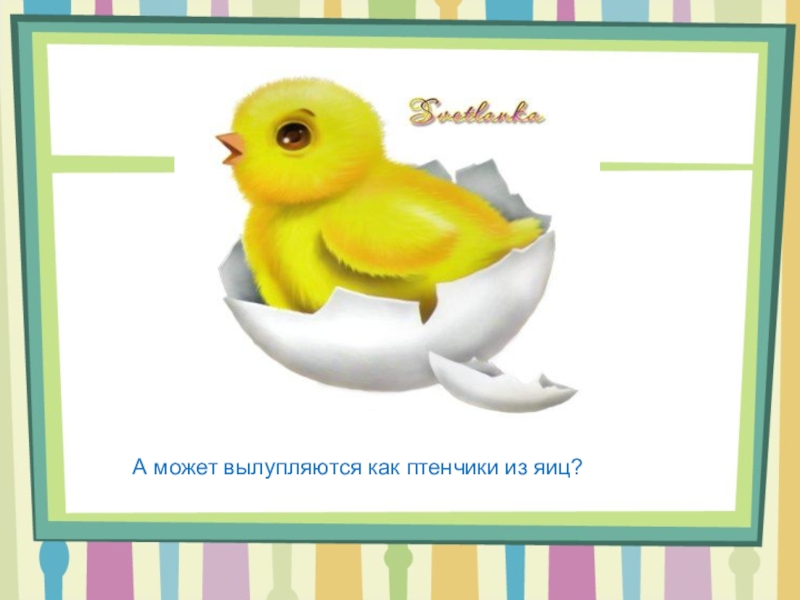 птенчик как пишется. правописание слова птенчик. какая птица не заботится о своих птенцах. птенцы птиц названия. птенчик как пишется.