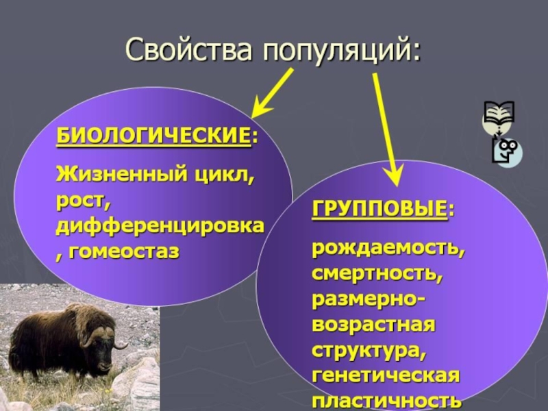 Основные параметры популяции