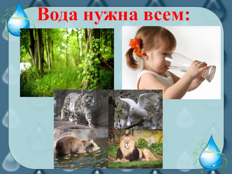 Зачем нужна вода. Вода нужна всем. Всему живому нужна вода. Кому нужна вода картинки. Рисунок вода нужна всем.