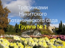 Информационный материал по региональной программе Крымский веночек, Знакомство детей с Никитским Ботаническим садом