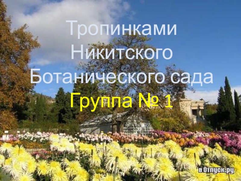 Информационный материал по региональной программе Крымский веночек, Знакомство детей с Никитским Ботаническим садом