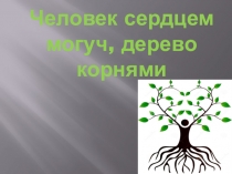 Презентация по русскому языку Словарно-орфографическая работа 3 класс