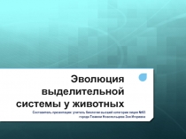 Эволюция выделительной системы животных