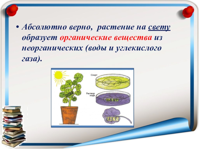 Абсолютно класс. Что растения образовывают на свету. Растения образуют на свету органические вещества. Растение на свету из. Растения на свету из воды и углекислого.