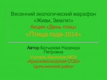 Презентация по биологии на тему День птиц
