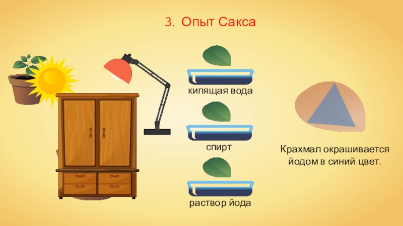 Эксперимент. Эксперимент плавающая иголка. Опыты с растениями. Маленькие эксперименты. Опыты с растениями для дошкольников.