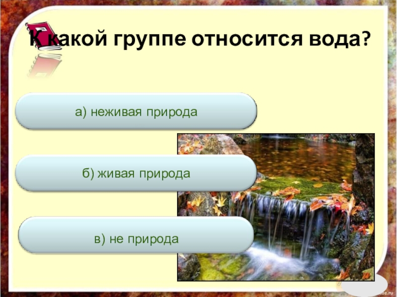 К какой группе относится каждая. К какой группе относится вода. К какой группе относится. Что относится к воде. Вода относится к какой природе.