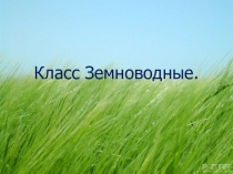 Презентация по биологии на тему Класс Земноводные (7 класс)