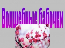 Презентация коллективная работа Волшебные бабочки