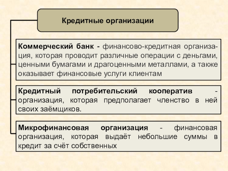 Специализированное кредитное учреждение