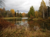 Презентация по окружающему миру на тему :В гости к нам приходит осень.(2 класс)