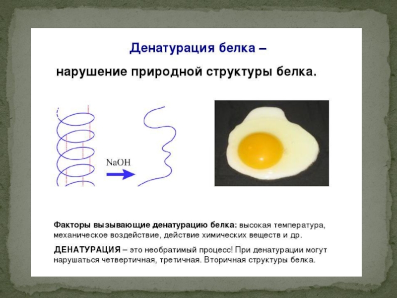 Разрушение белков. Структура белка и денатурация белка. Биологические факторы денатурации белка. Денатурация белка и коагуляция белка. Денатурация белка факторы ее вызывающие.