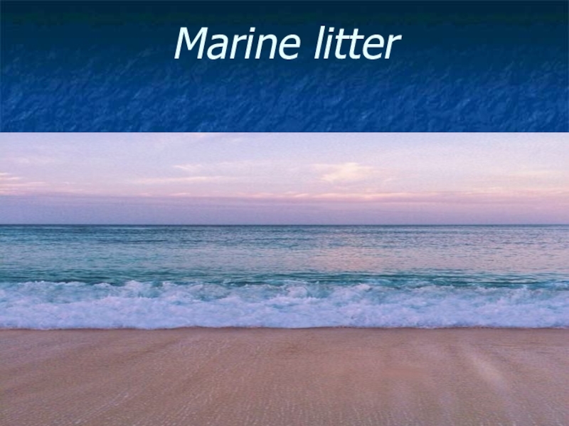 Marine litter презентация