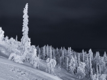 Презентация Первый снег4 класс