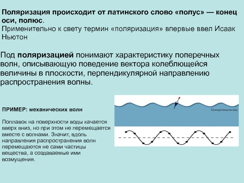 Порядок волны. Поляризация поперечных волн кратко. Пооярмщация поперечный волн. Поляризация механических волн. Поляризация волн физика.