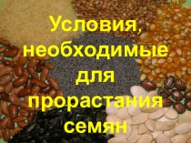 Презентация по биологии на тему Условия прорастания семян 6 класс